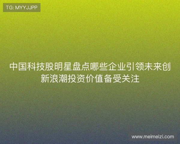 中国科技股明星盘点哪些企业引领未来创新浪潮投资价值备受关注